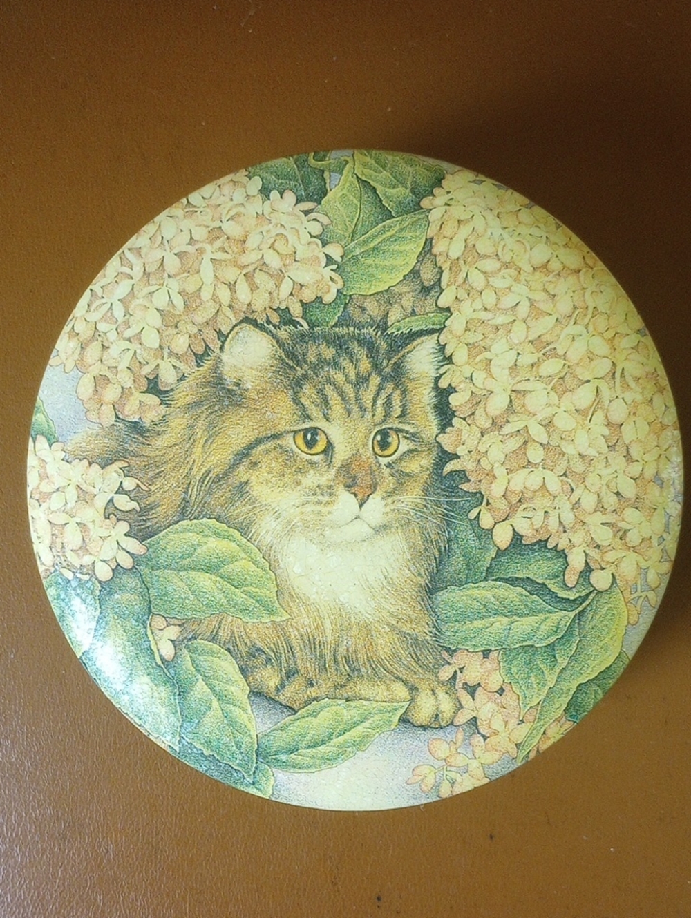 Round Metal Vintage Storage Container w/ Cat & Flowers. Green Cream Tan Brown
